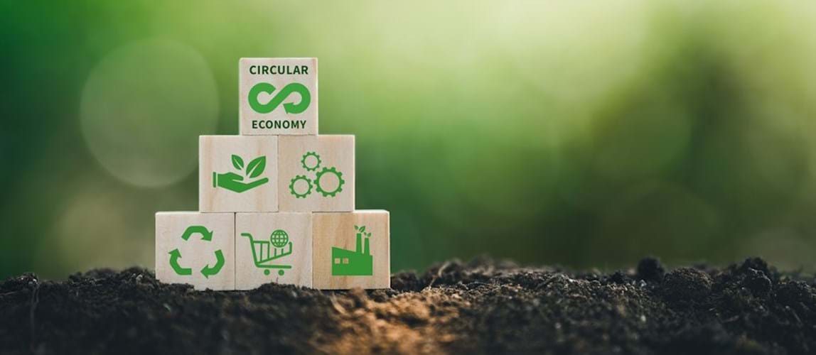 Food Structures for a Sustainable World